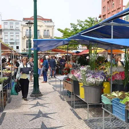 Lagoa * אובידוס